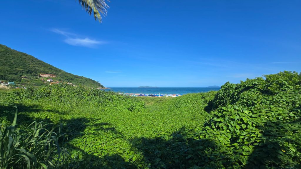 d1b0e0b0 135c 4e75 bd12 e49cdac98dd7 - Roccoimob Bienes raíces en Bombinhas d1b0e0b0 135c 4e75 bd12 e49cdac98dd7 - Rocccoimob Bienes raíces en Bombinhas