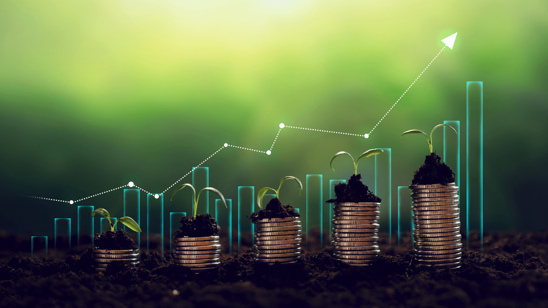 Investimento no Brasil - Rocccoimob Imobiliária em Bombinhas