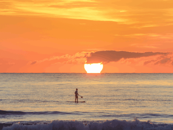 Verao em Florianopolis ou Bombinhas Veja qual destino realmente vale a pena - Rocccoimob Imobiliária em Bombinhas