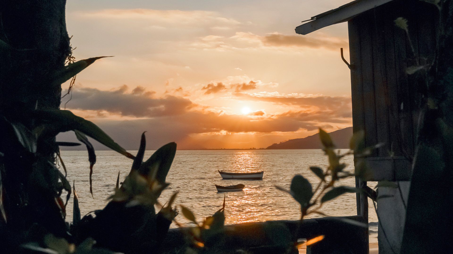 Boats standing at sea during sunset in Canto Grande, Bombinhas, seen from the waterfront with vegetation and wooden house next to it - Rocccoimob Real estate in Bombinhas