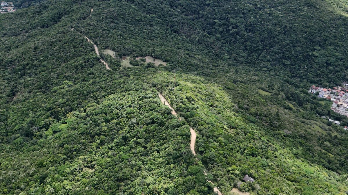 Vista aérea do Morro da Antena em Bombinhas mostrando o traçado do terceiro acesso viário em meio à área verde, ligando a região de Zimbros ao entorno de Porto Belo - Rocccoimob Imobiliária em Bombinhas