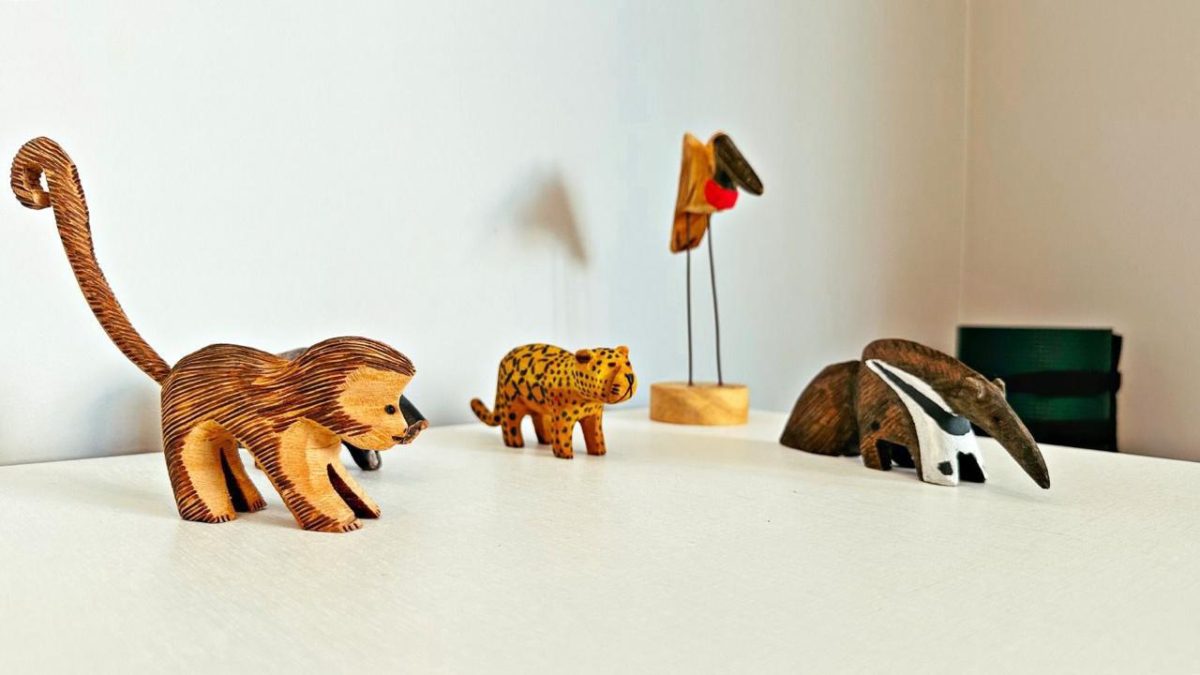 WhatsApp Image 2026 01 26 at 09.43.29 (27) - Rocccoimob Imobiliária em Bombinhas