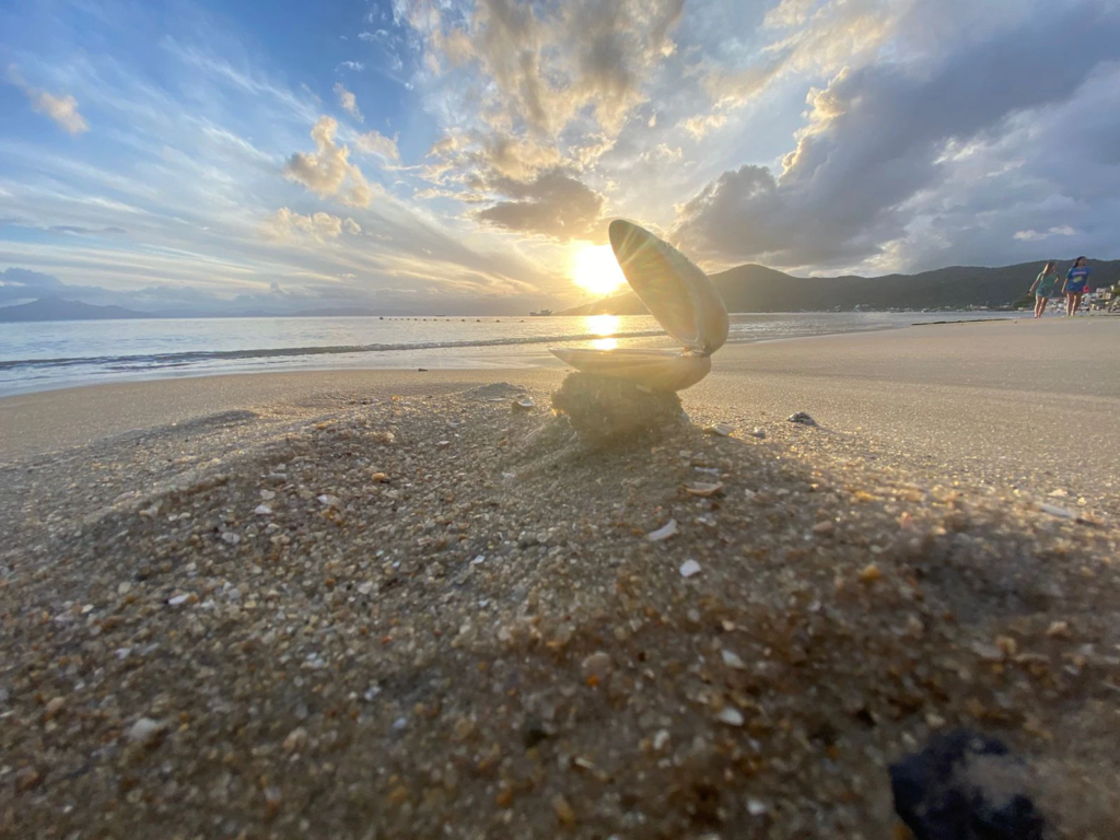 canto grande bombinhas - Rocccoimob Imobiliária em Bombinhas